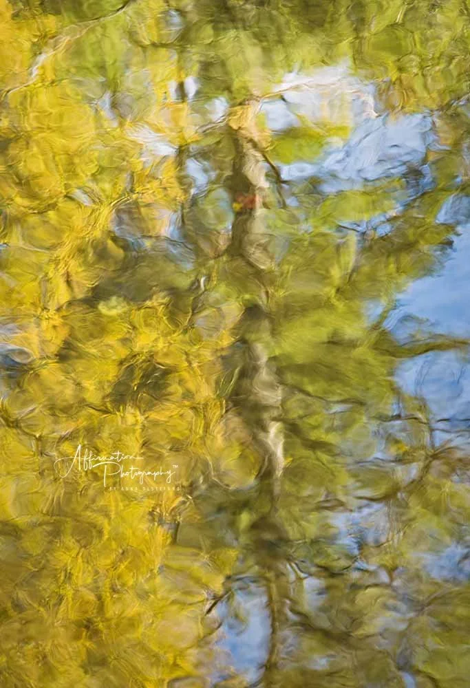 2018-10-30 001 863 - Copy JPG 1 SIZED-1.jpg