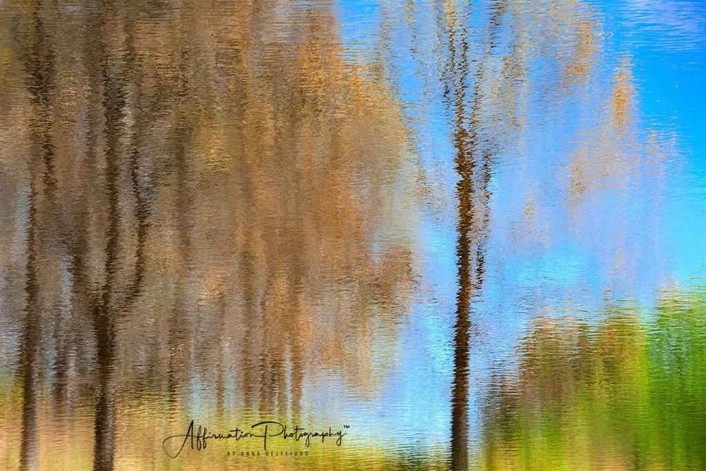 Nat Abstract 1-1.jpg