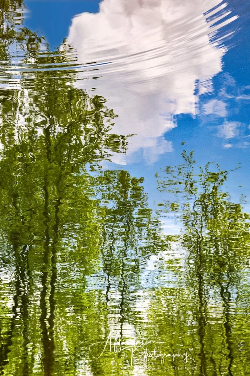 Nat Abstract 5-1.jpg