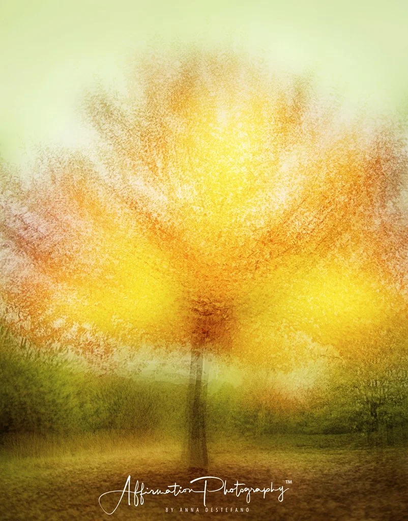 Red Tree Multiple Exposure Layers 10-1.jpg