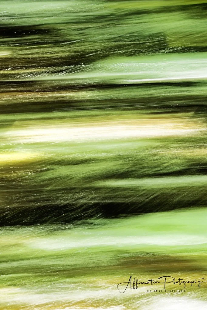 2020-08-15 003 542 MERGED 2-denoise-1.jpg