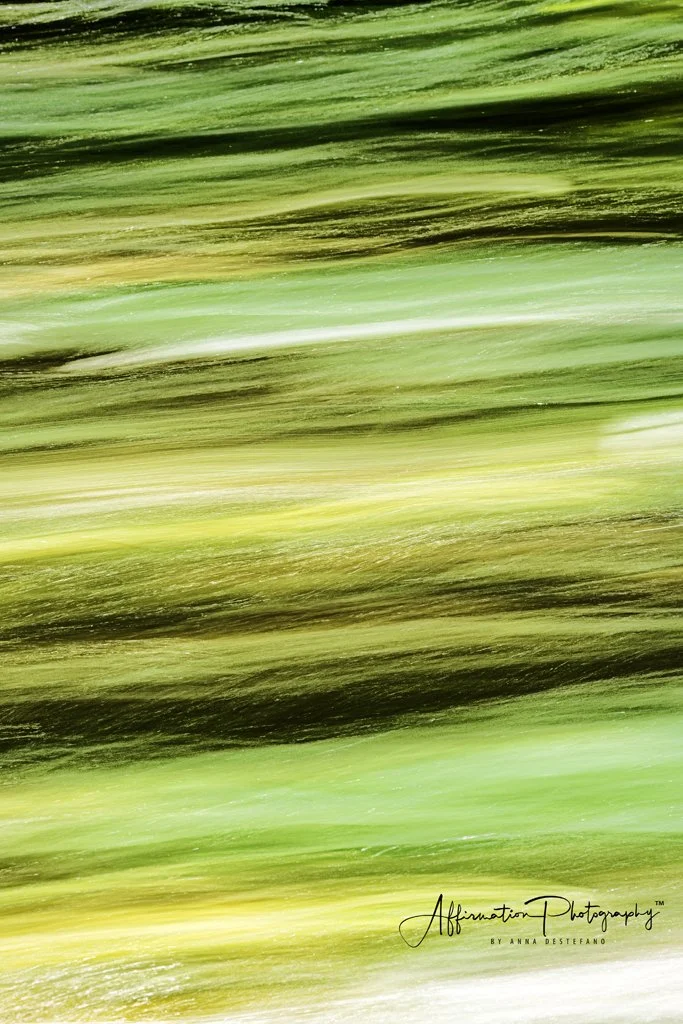 2020-08-15 003 545 - Copy MERGED-denoise-1.jpg