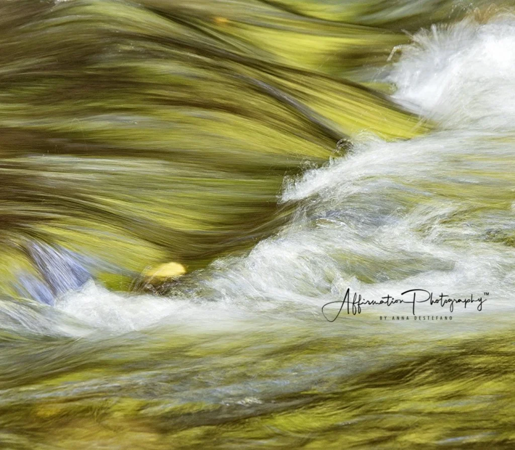 2018-10-17 001 697 - Copy BRIGHTER CROPPED MERGED sized-1.jpg