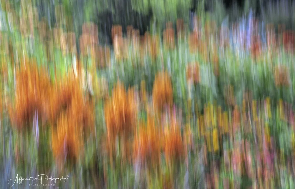 2022-06-26 002 073 merged no color efex-1 SIZED.jpg