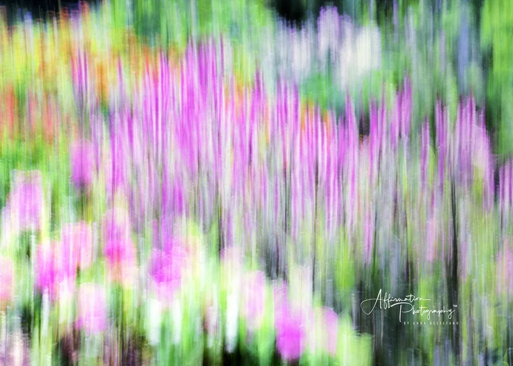 2022-06-26 002 061 merged 2-1 sized.jpg