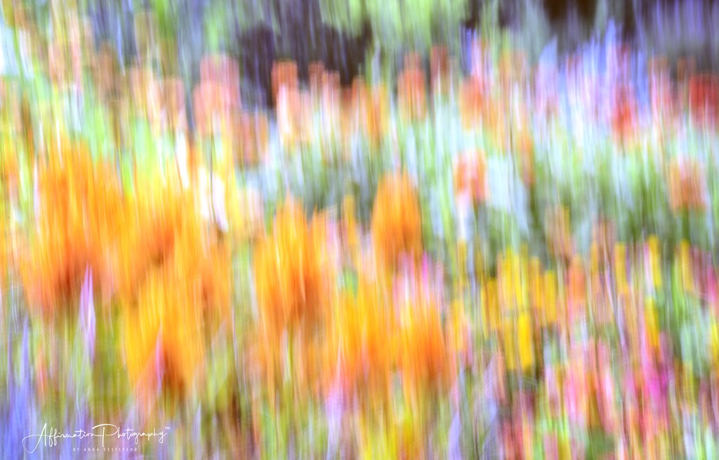 2022-06-26 002 073 merged-1 SIZED.jpg