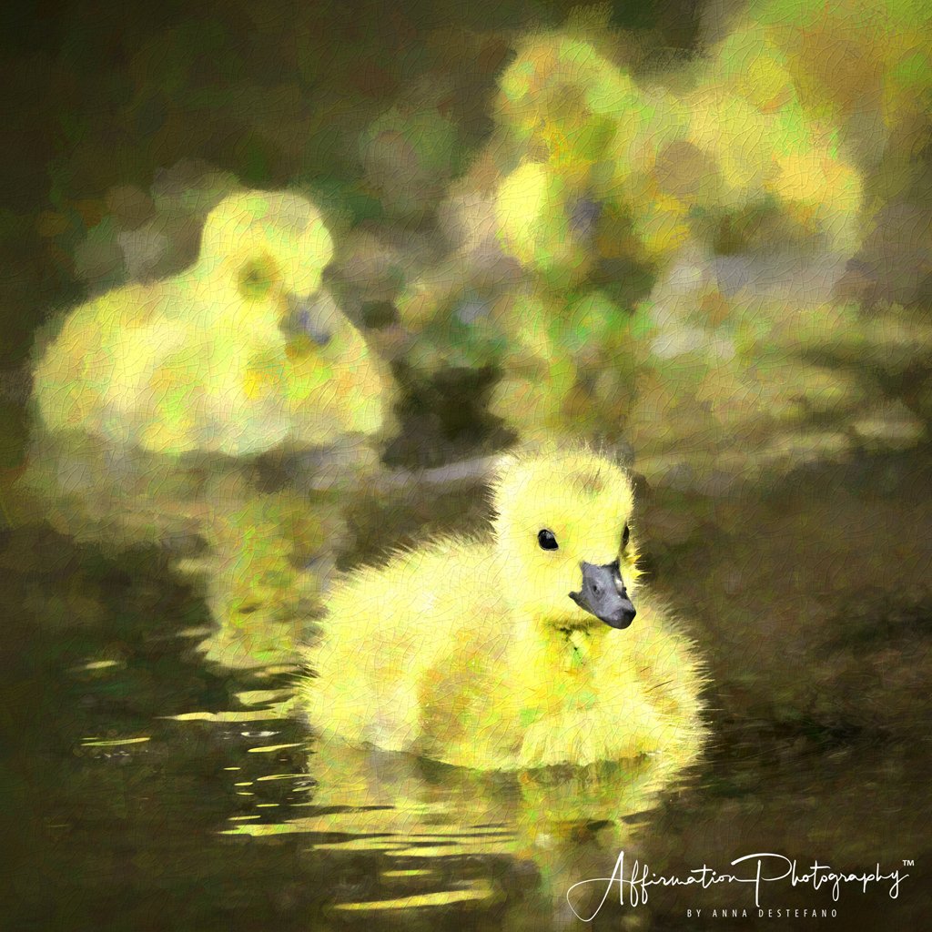 2021-04-14 001 065 MERGED 2-1.jpg