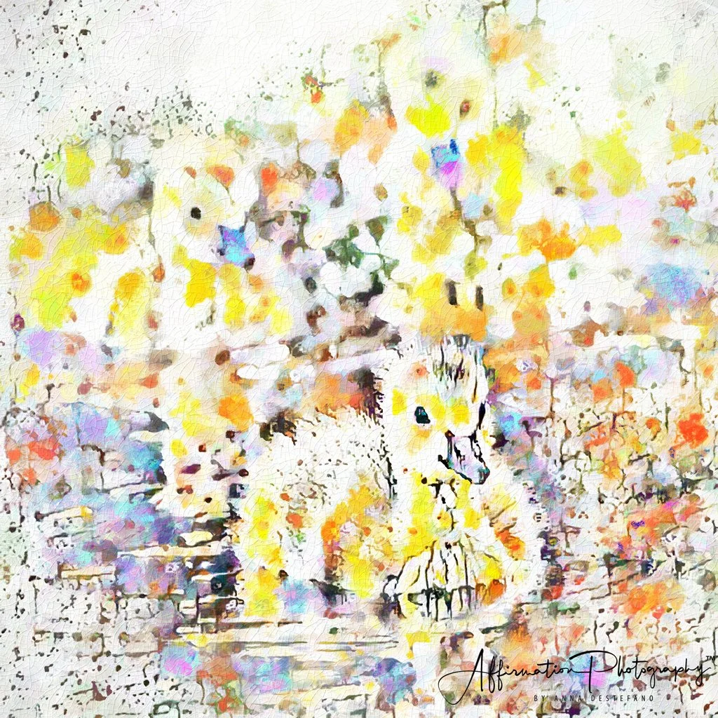 2021-04-14 001 065 MERGED GRAFITTI-1.jpg