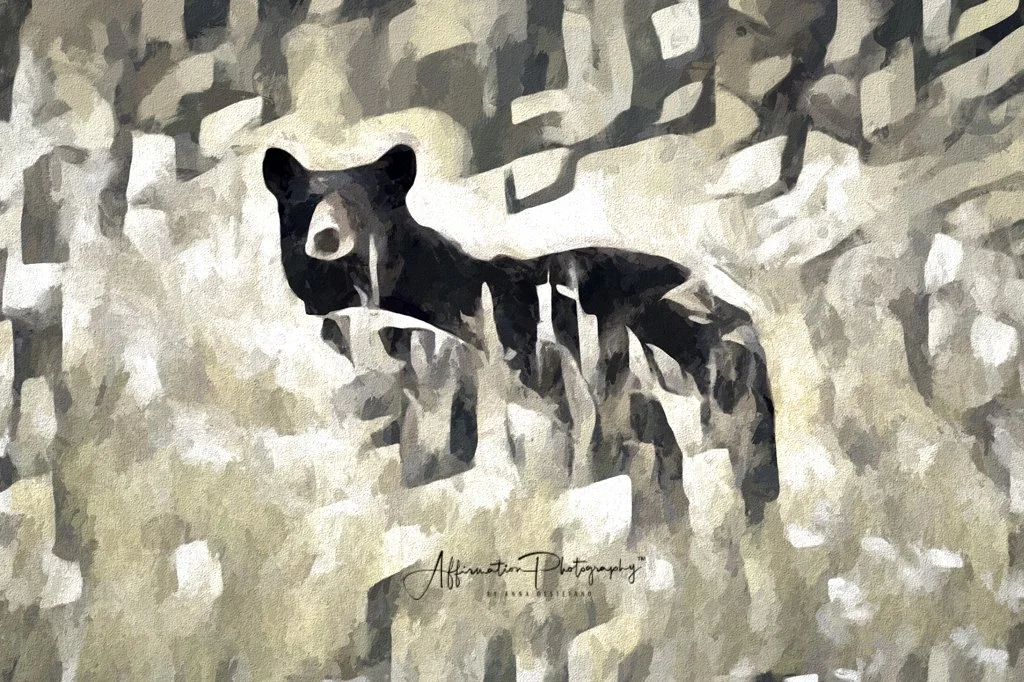 2021-06-03 004 172-Edit merged 3 MODERN 2 sized-1.jpg