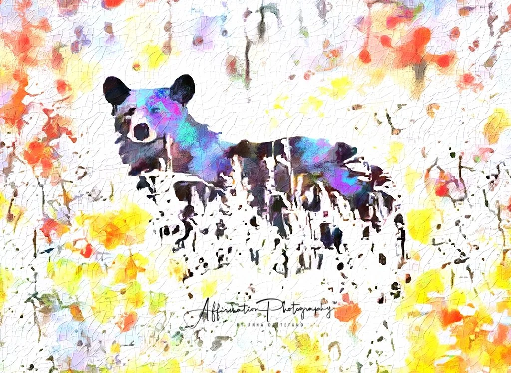 2021-06-03 004 172-Edit merged 3 Topaz Confetti merged SIZED-1.jpg