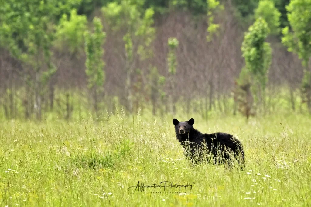 2021-06-03 004 172-Edit merged SIZED-1.jpg