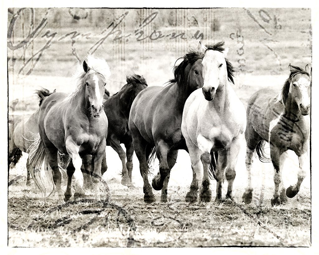 2021-05-25 002 296-Edit BW SCRIPT 2 SIZED.jpg