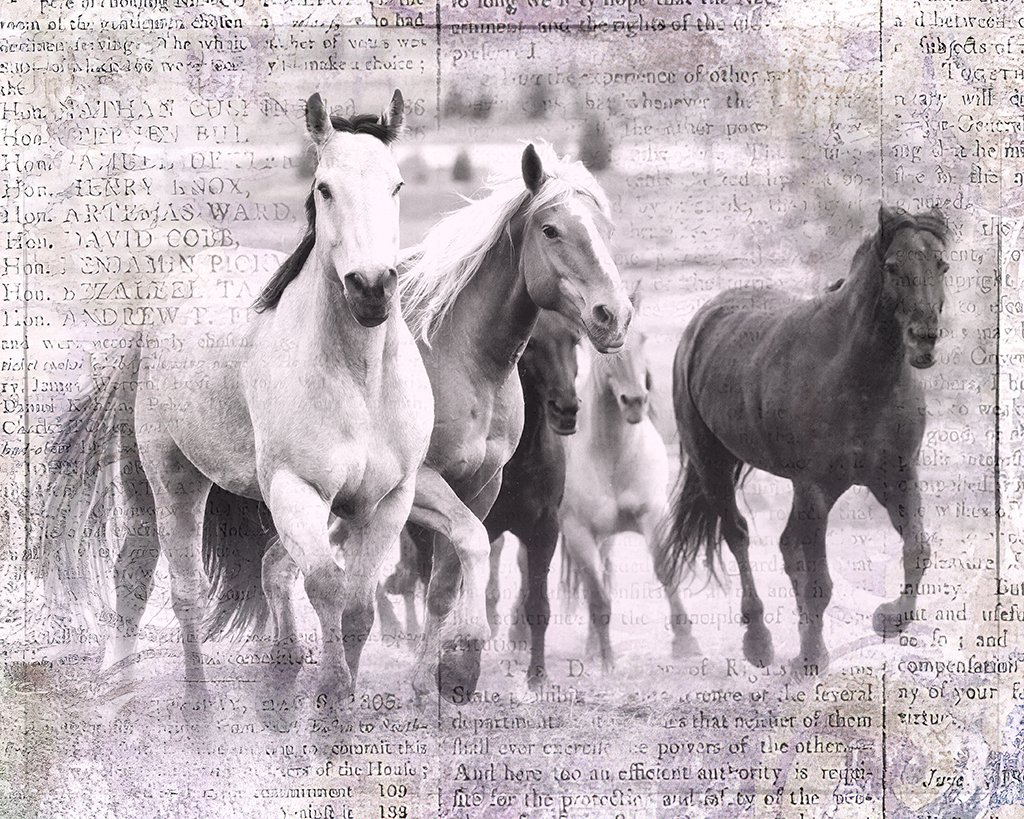 2021-05-25 002 312-Edit BW SCRIPT merged SIZED.jpg