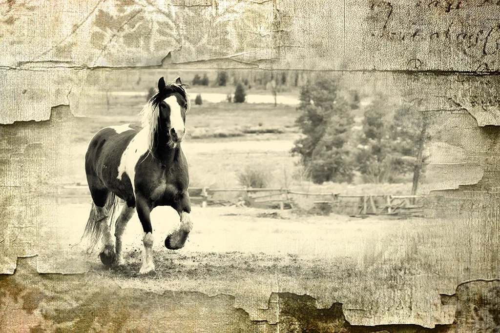 2021-05-25 002 372-Edit BW SCRIPT SIZED.jpg