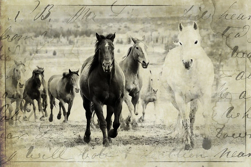 2021-05-25 002 327-Edit BW SCRIPT 2 SAVED SIZED.jpg