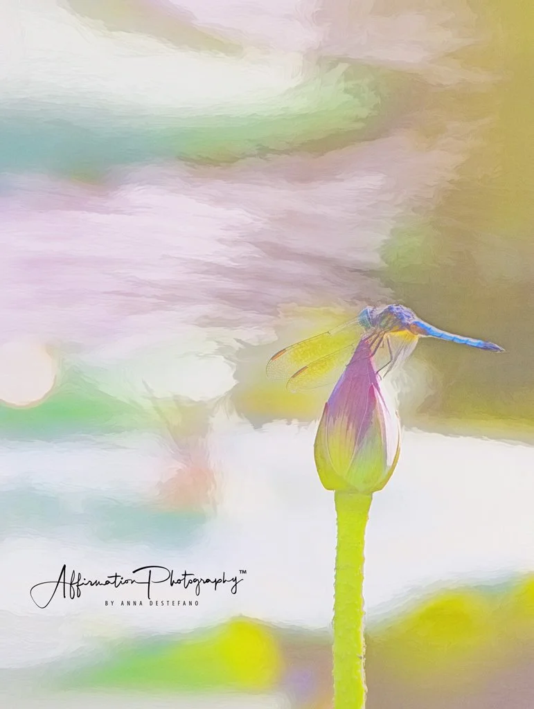 2019-05-30 001 215 - Copy merged 2 topaz 2-1 sized.jpg