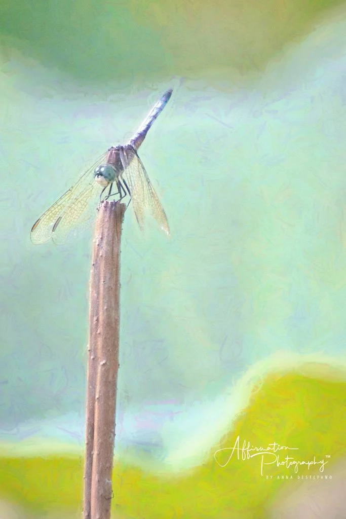 2019-05-30 001 285 - Copy TOPAZ-1 SIZED.jpg