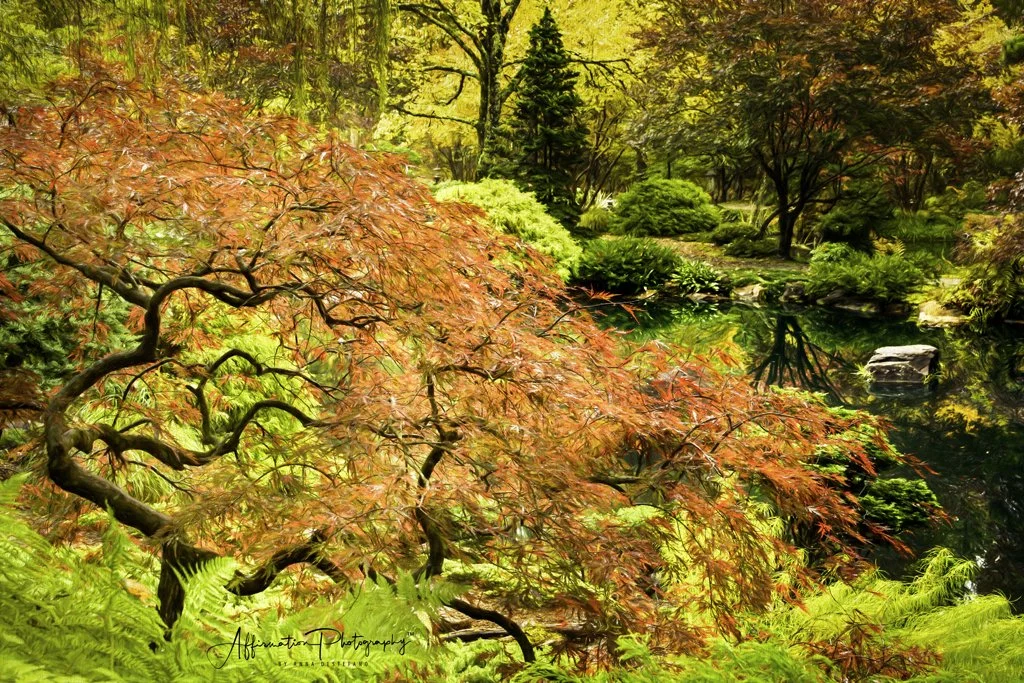 2021-10-29 001 228 merged Oil Painting-1 SIZED.jpg