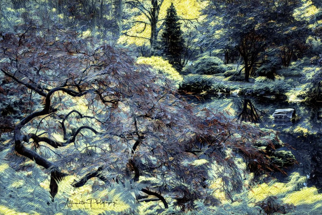 2021-10-29 001 228 merged Topaz Remix Van Gough-1 SIZED.jpg