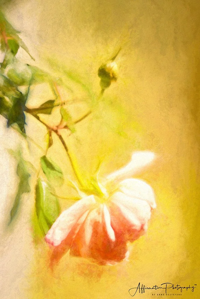 2019-03-22 001 127 - Copy MERGED CHALK SMUDGE CANVAS 2-1 SIZED.jpg