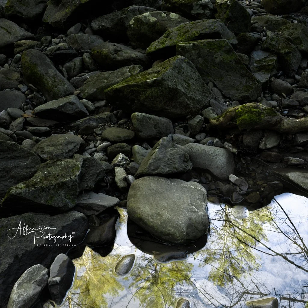 2022-01-26 003 398-Edit merged 2 CROP-2 SIZED.jpg