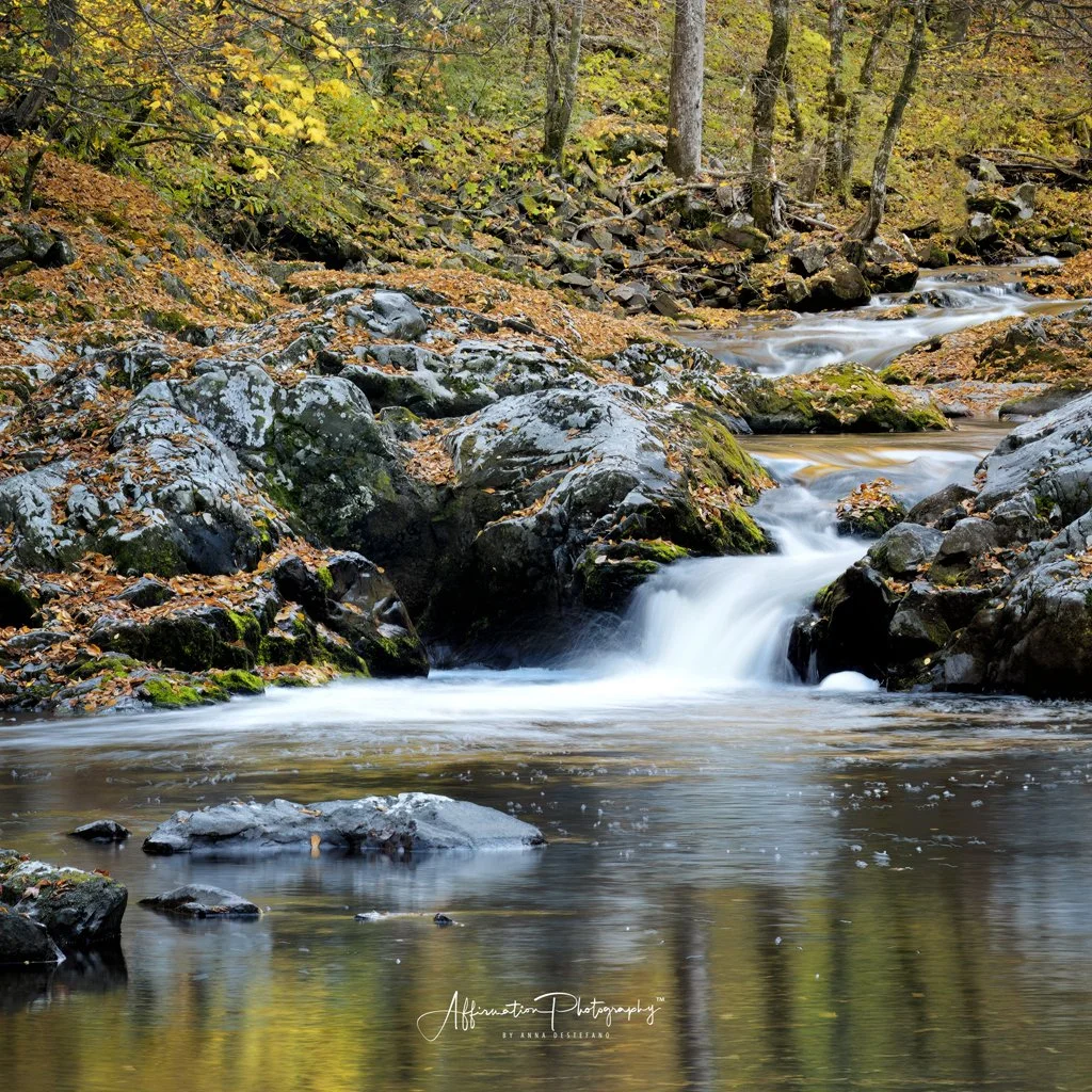 2024-10-29 001 260 merged CROPPED-1.jpg