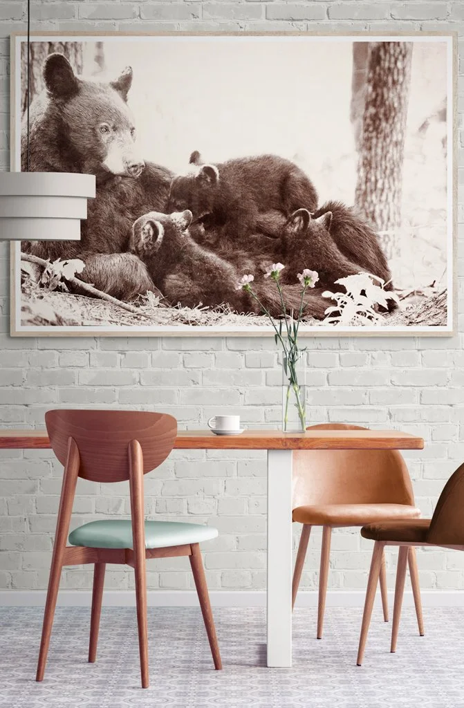 Sepia Sow Nursing Stylish_bright_dining_room.jpg