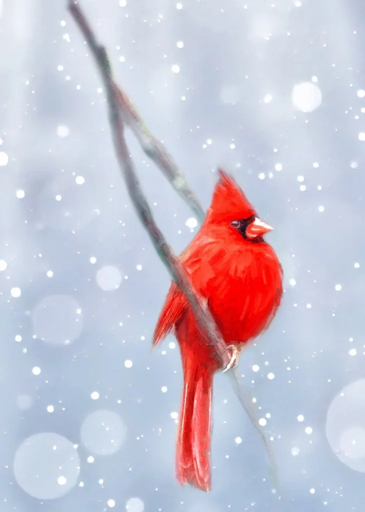 2020-03-05 002 030-denoise MERGED 5 NEW 5 5x7 sized.jpg