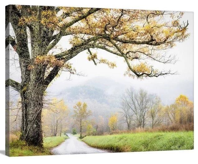 14 Foggy Smokies 6 40x30.JPG