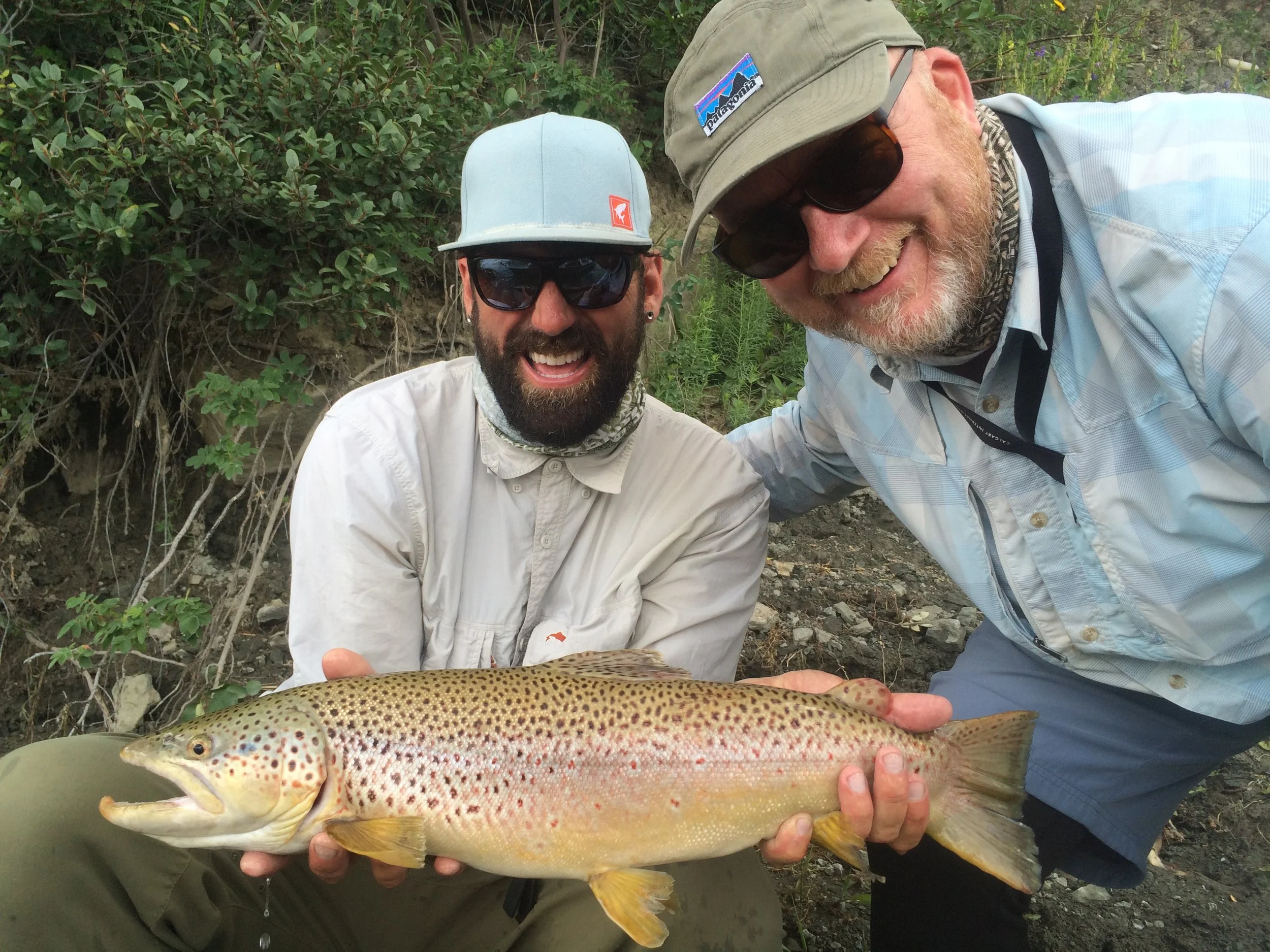 Best Brown trout of 2016