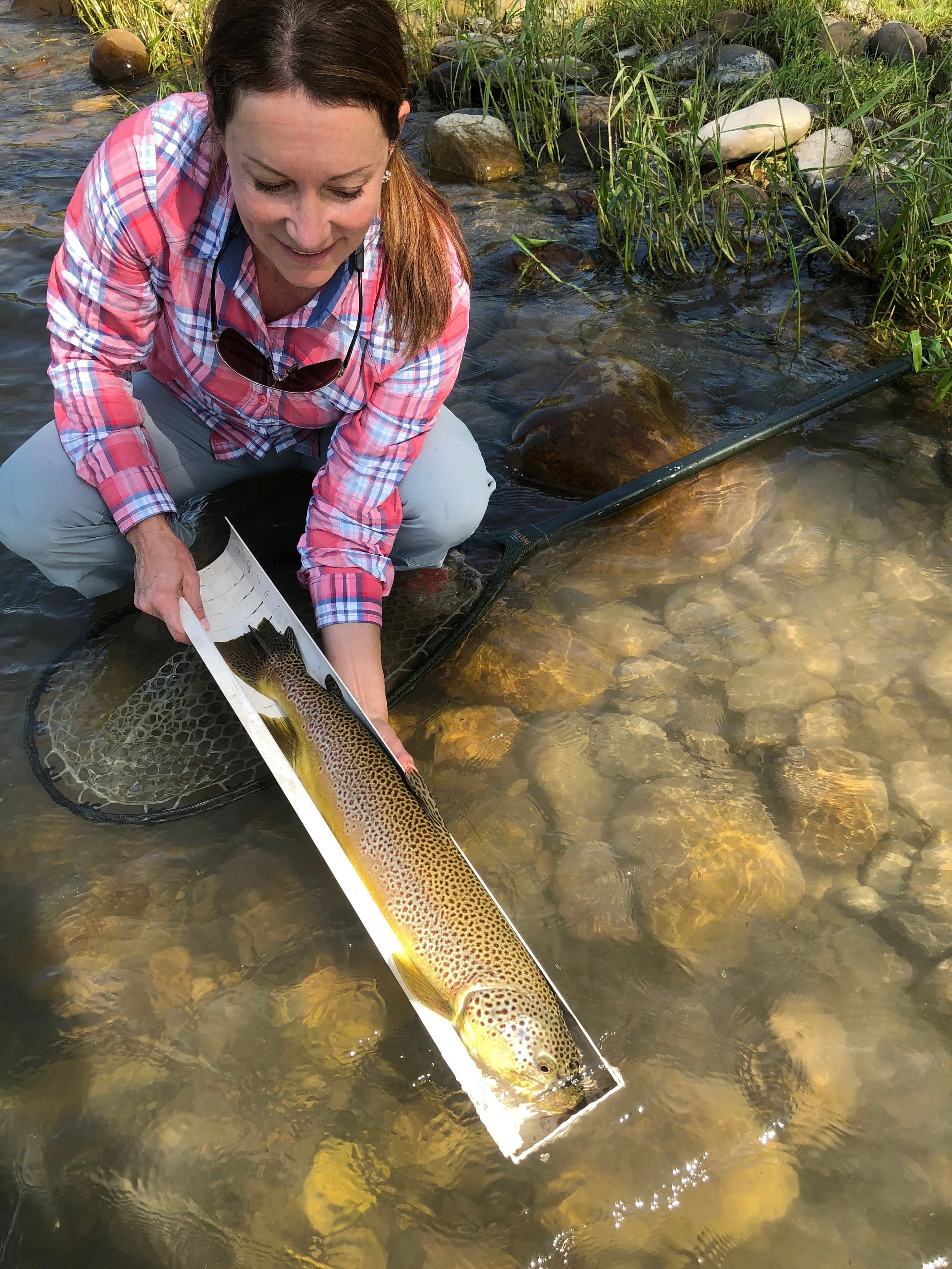 Jenn with the biggest brown of 2018