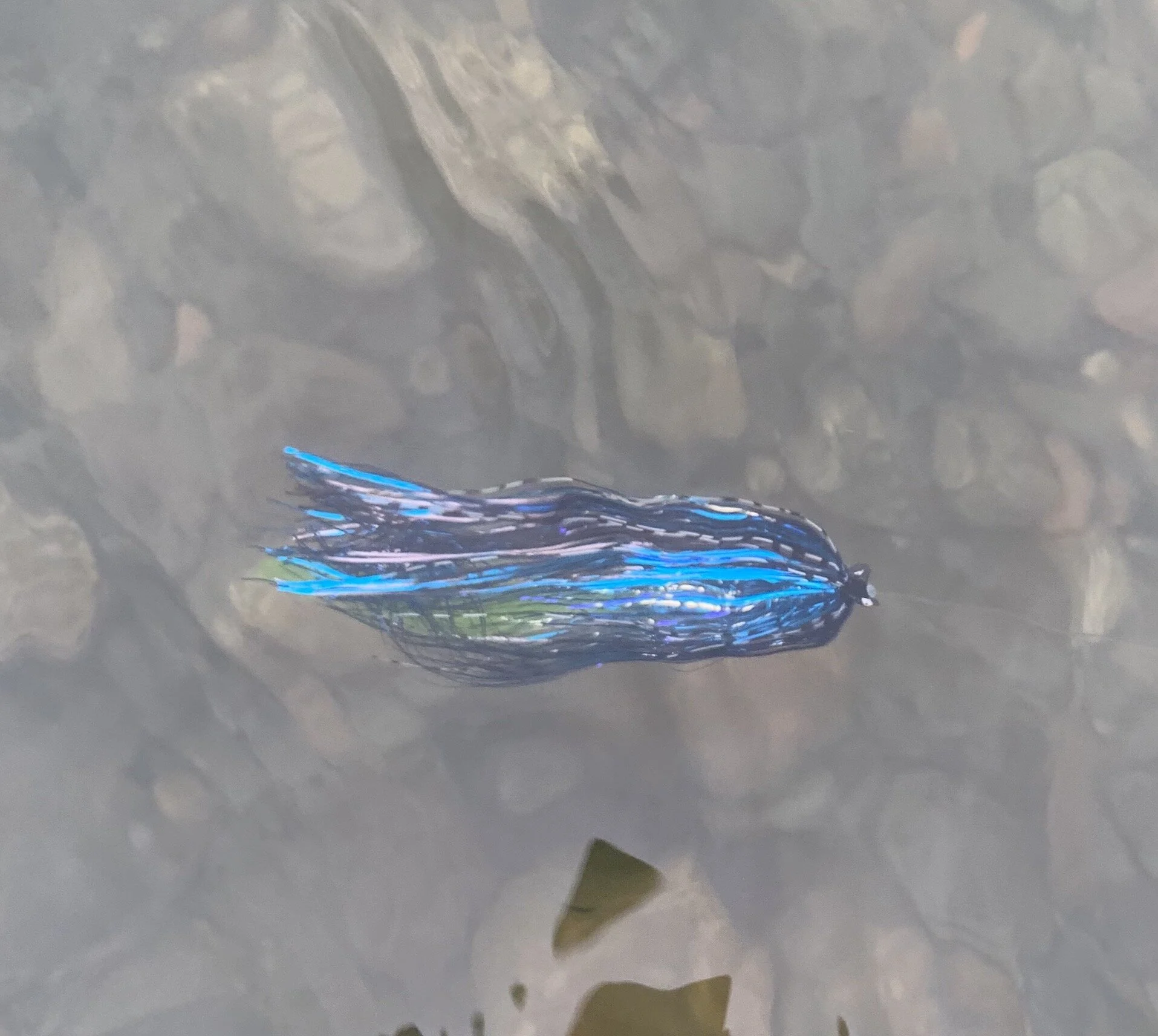 Sparkle Dagger w/ Chartreuse tipped trailer