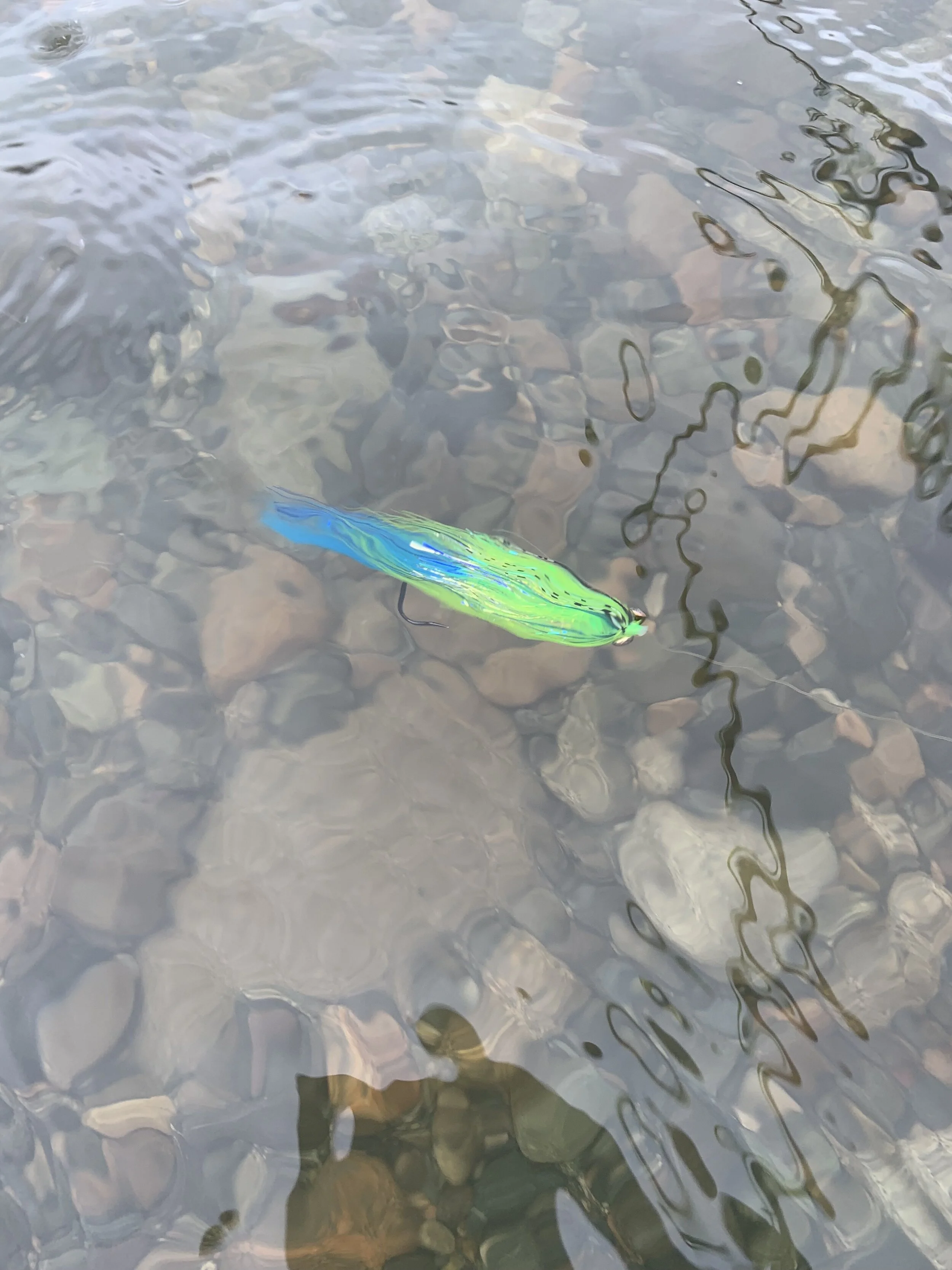 A little Chartreuse and Blue