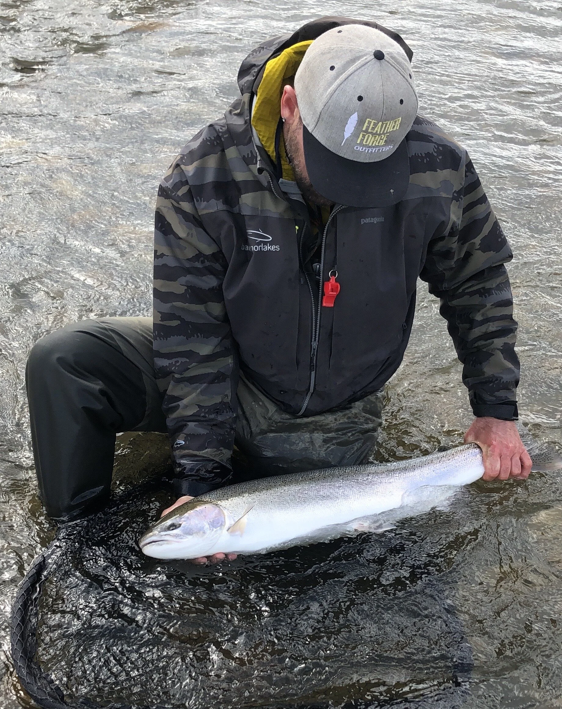 A shiny one from the spring