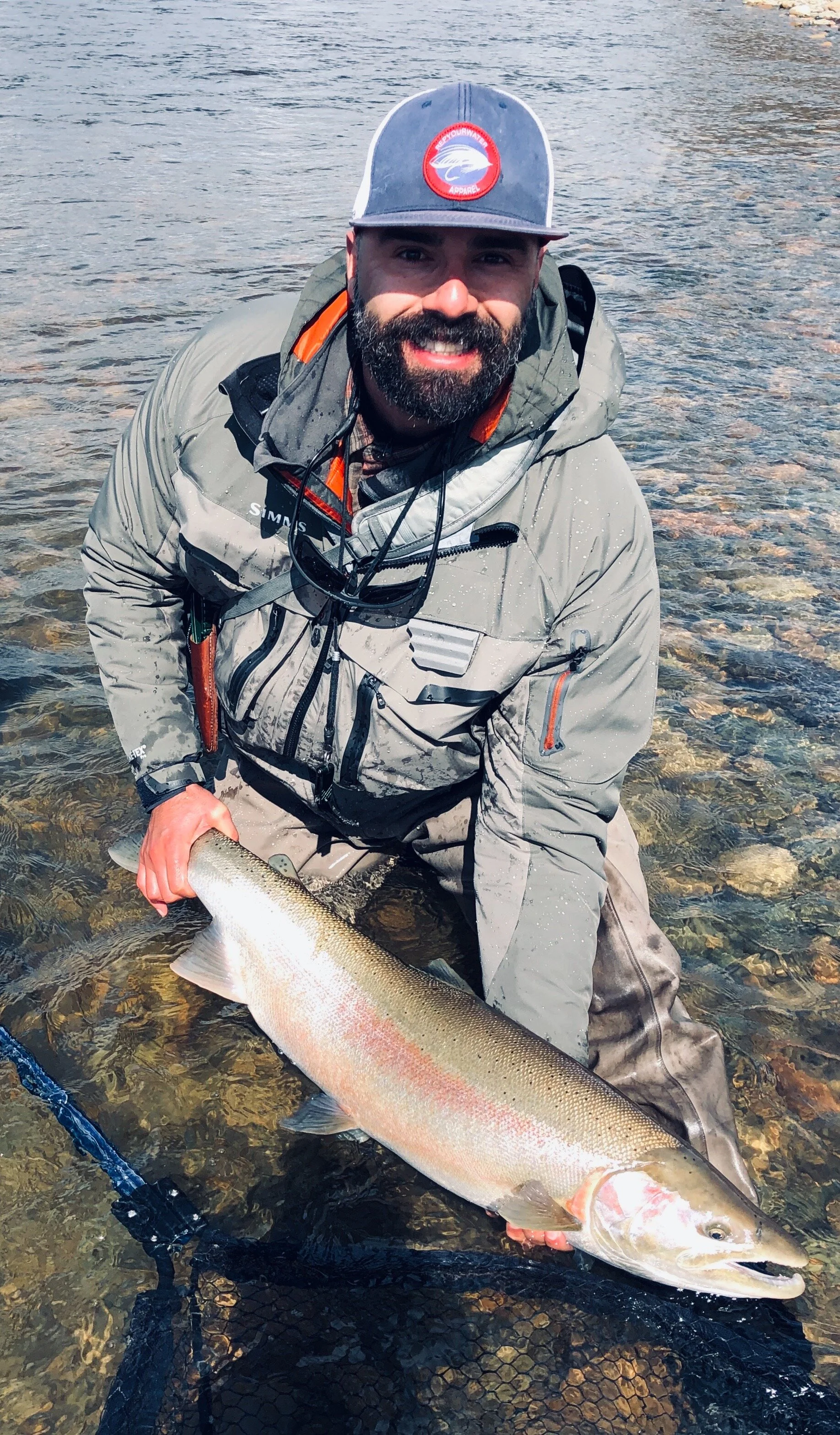 Beautiful Buck