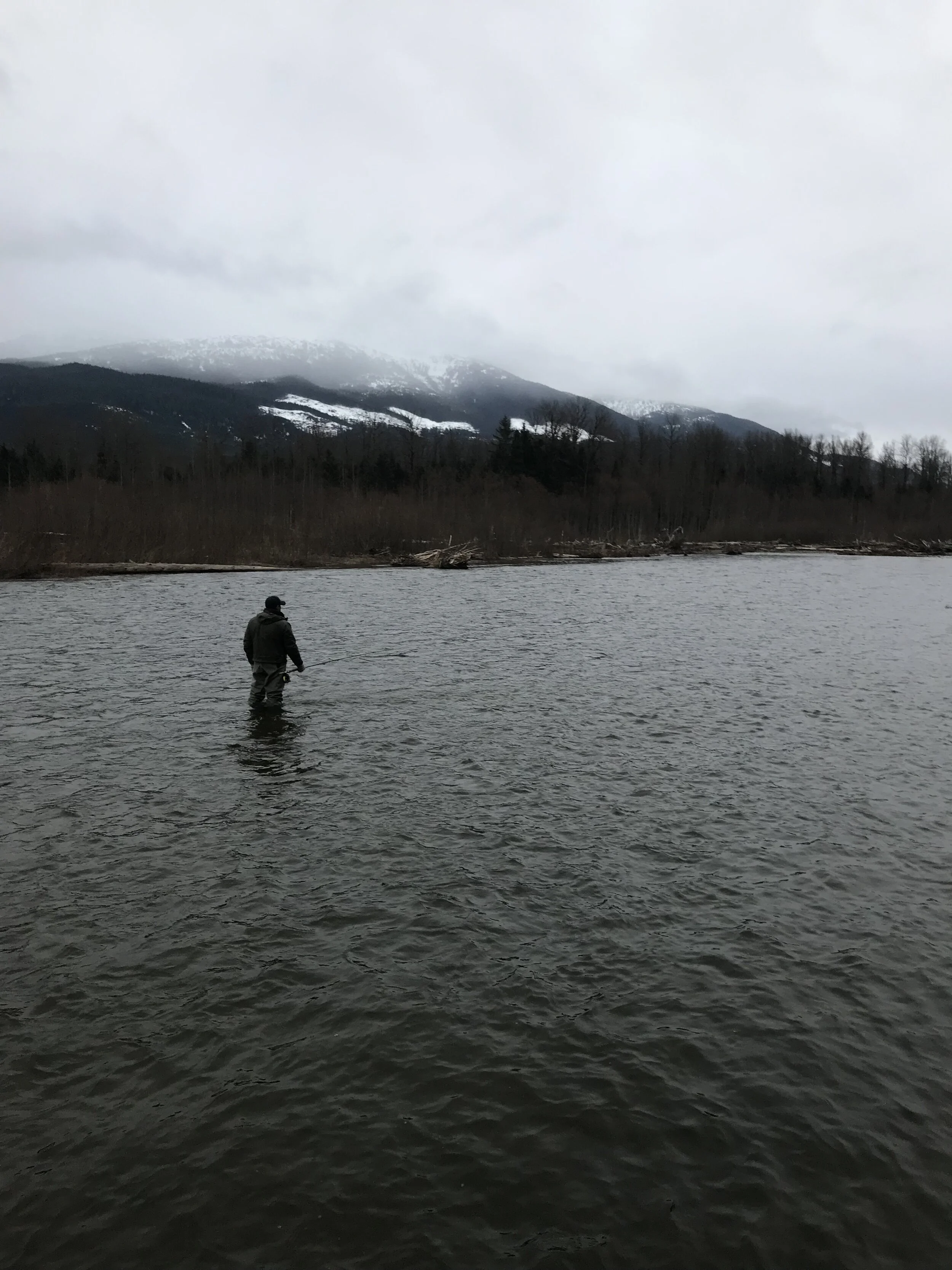 Random thoughts at the end of a long guide day. "Its not all sunshine and lollipops"