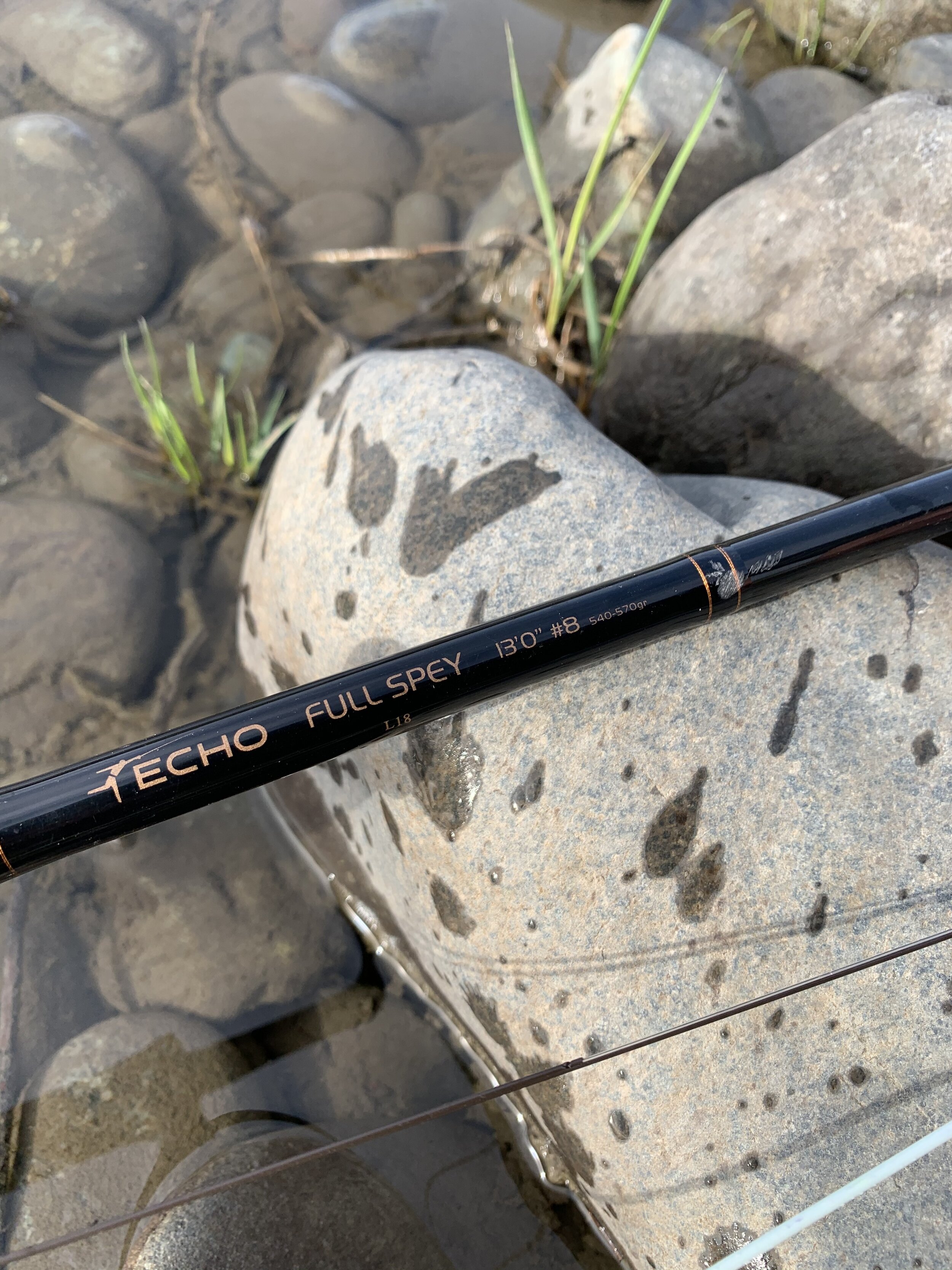 Echo Full Spey 13' 8wt — Feather Forge Fly Co.