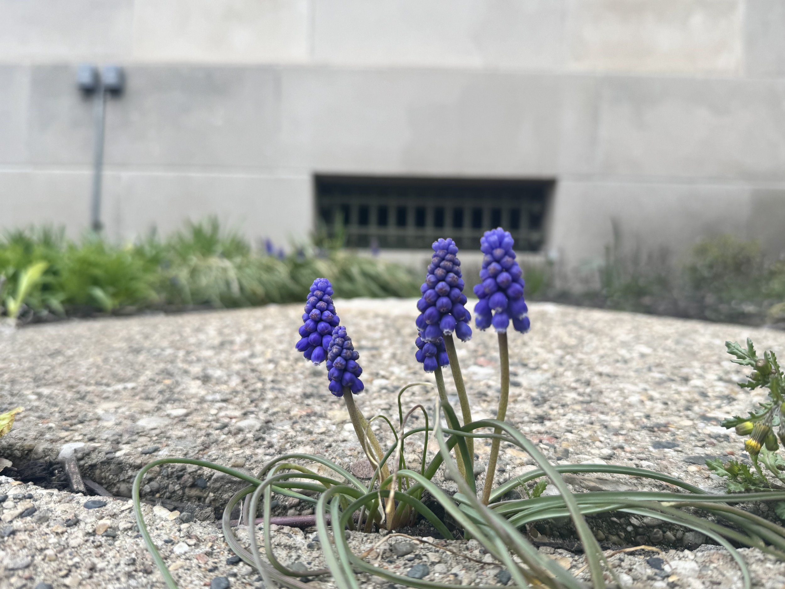 IMG_4902.jpeg