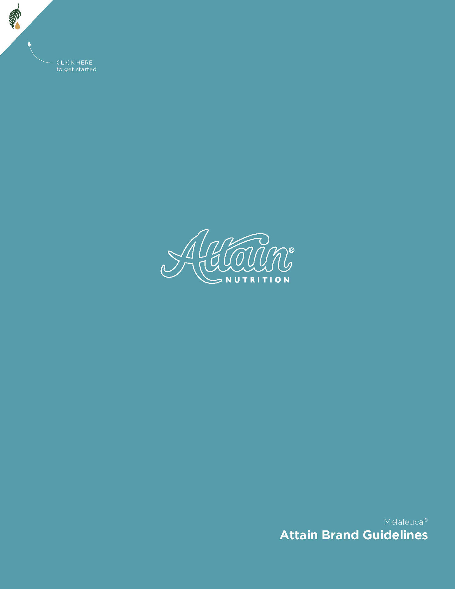 Attain_Brand+Guidelines_0215_Interactive_Page_01.jpg
