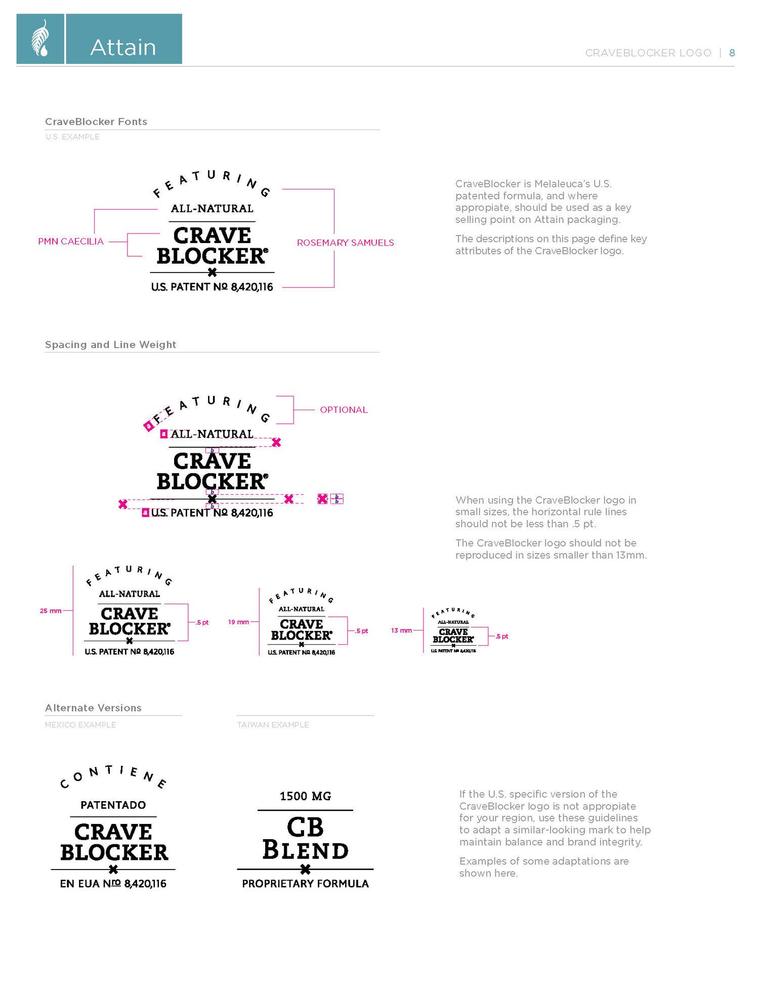Attain_Brand+Guidelines_0215_Interactive_Page_08.jpg