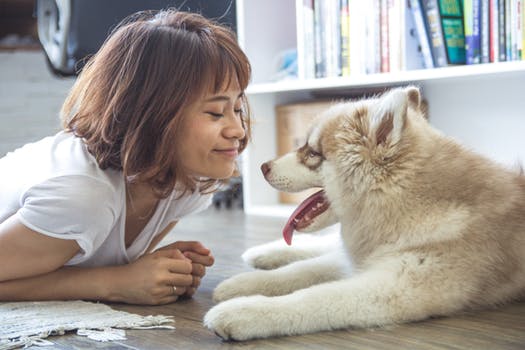 dog and girl.jpeg