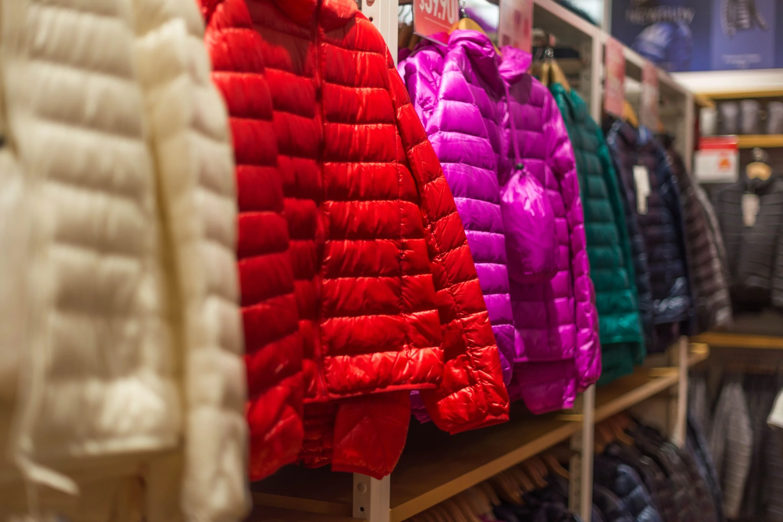 clothes-colorful-colourful-16170.jpg