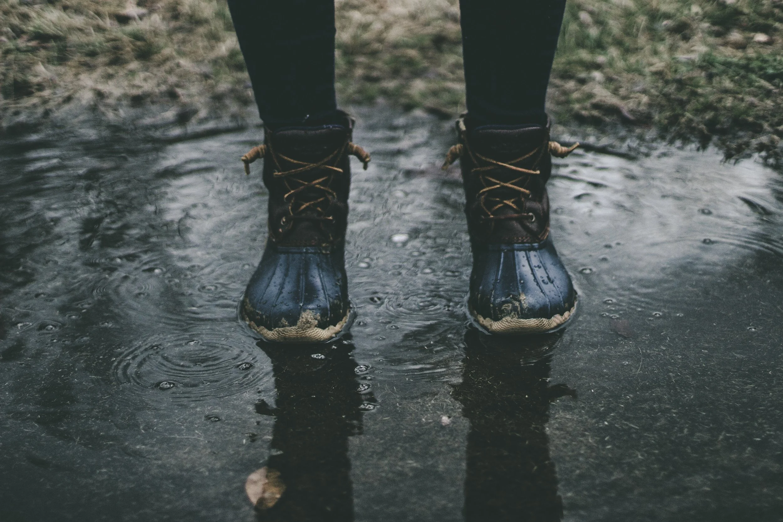 zach-reiner-558331-unsplash.jpg