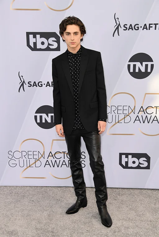 Timothée Chalamet in Celine