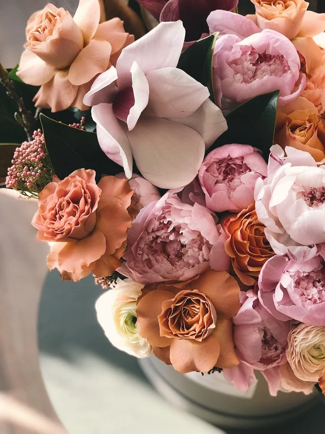 beautiful-birthday-blossom-931162.jpg