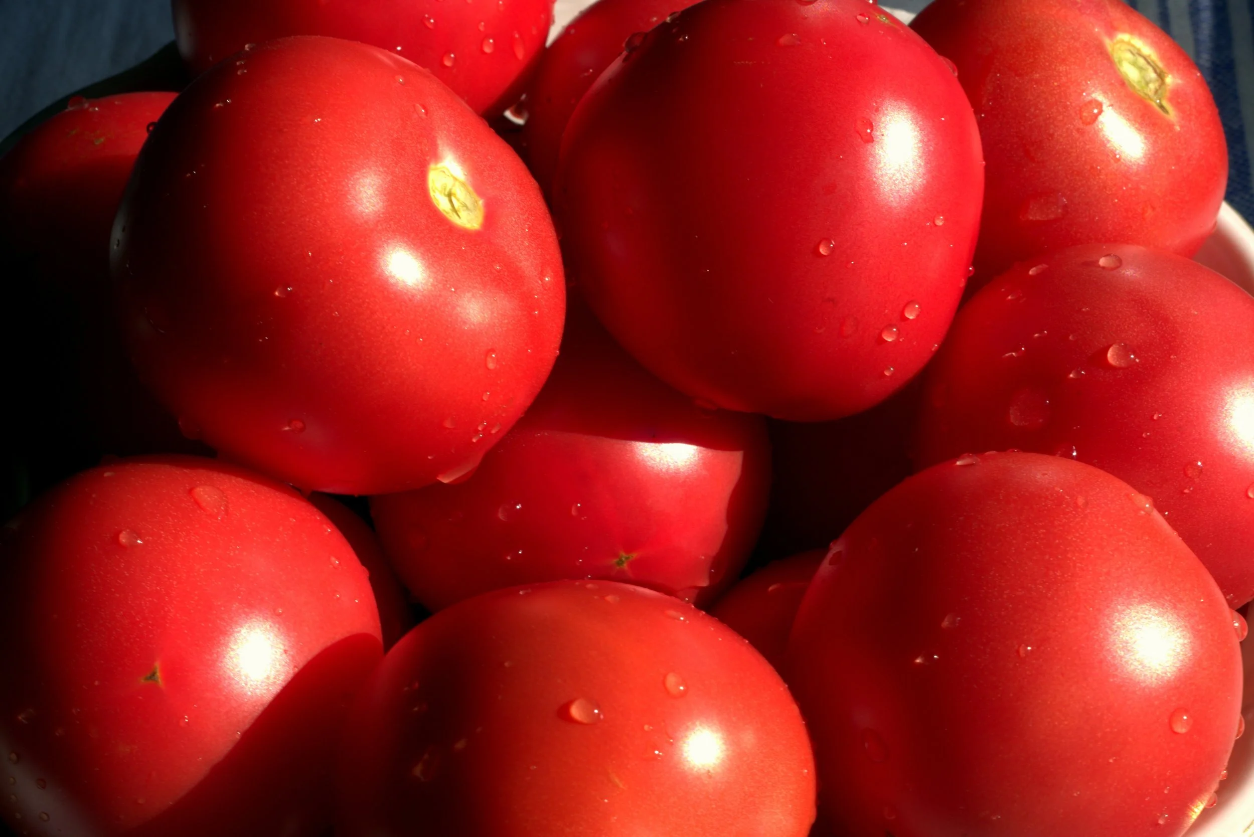 blur-close-up-delicious-257292.jpg