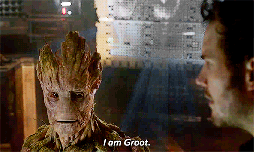 LINES 2.gif
