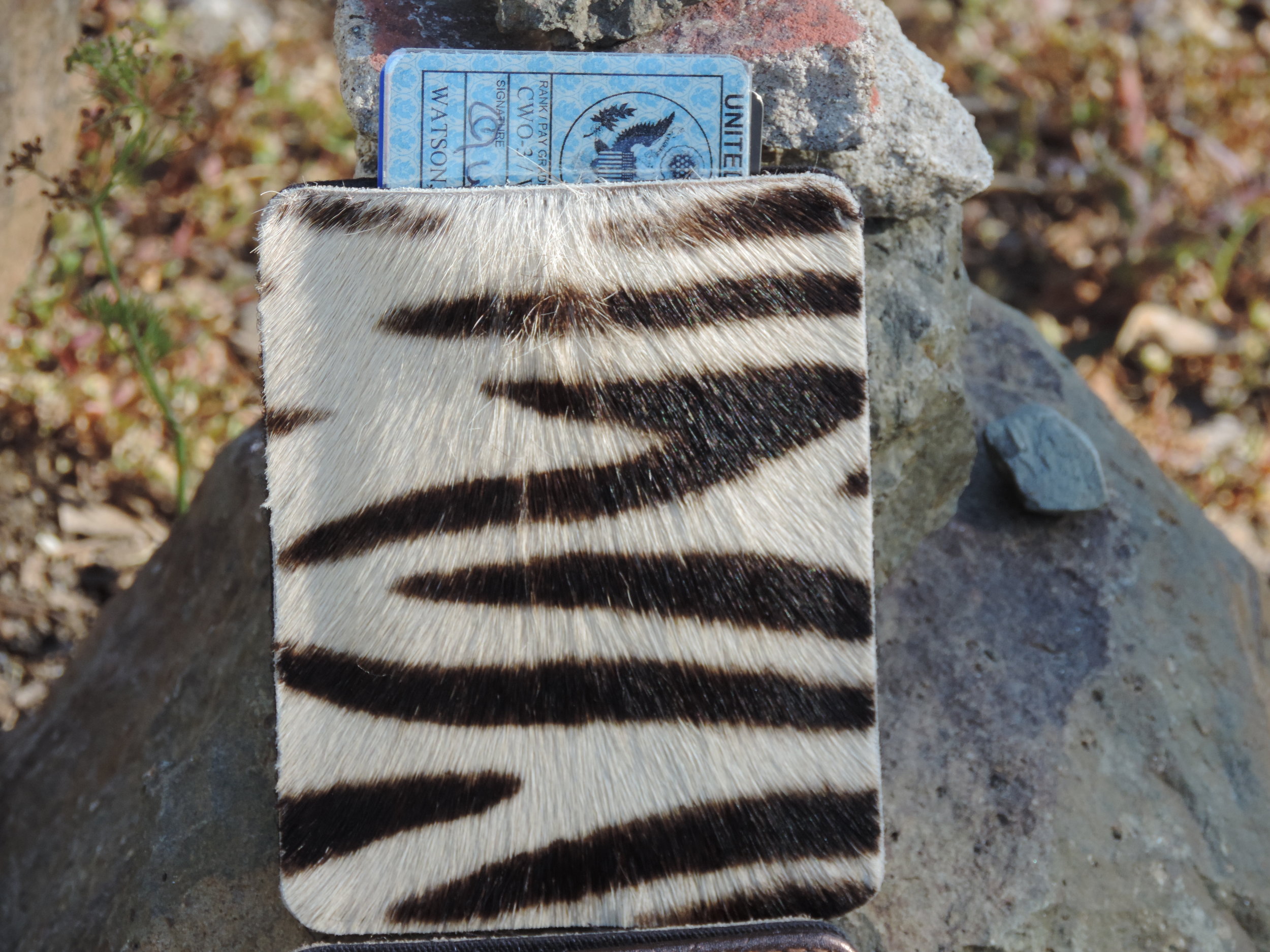 Up close RVP with cards out of the top.JPG