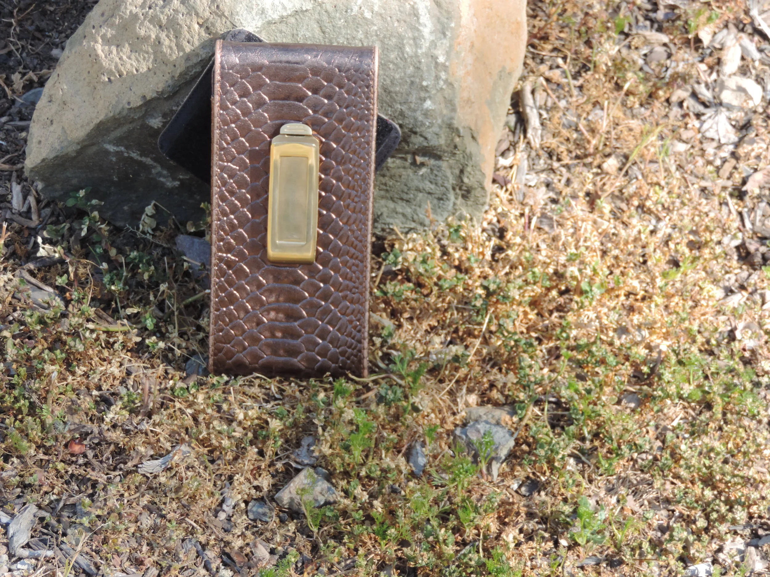 Cell back with clip.JPG