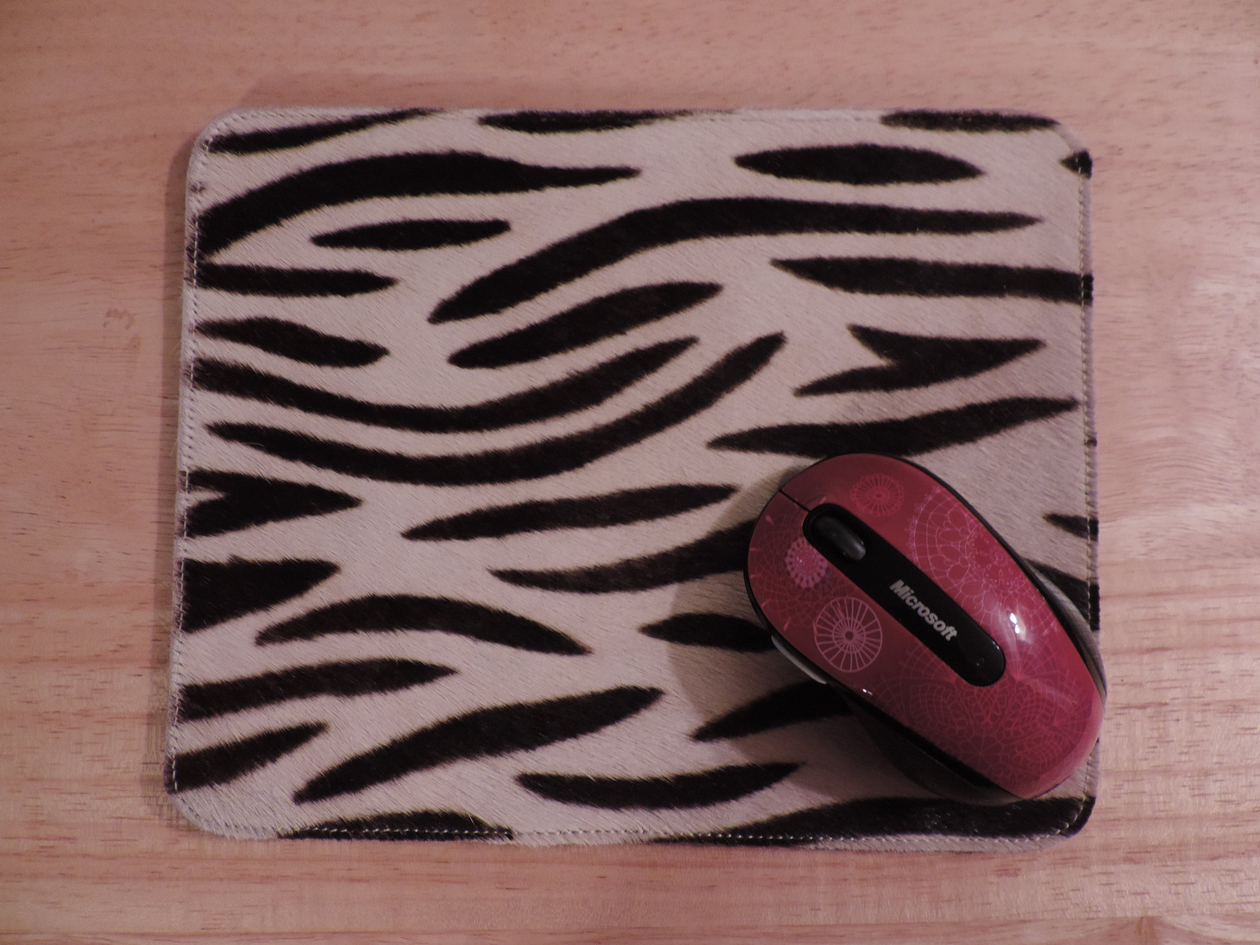 8x10RVPHoZebram (2).JPG